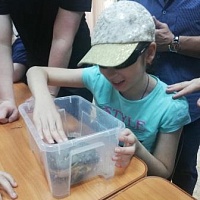 Читательница библиотеки, ученица 39 школы Надина изучает жабу.