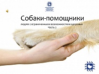 Информационный обзор «Собаки-помощники людям с ограниченными возможностями здоровья. Часть 2»