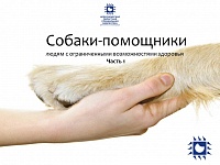 Информационный обзор «Собаки-помощники людям с ограниченными возможностями здоровья. Часть 1»