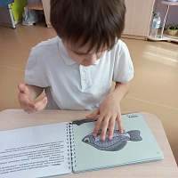 Мальчик исследует тактильно изображение рыбы - карася.