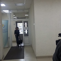 Светлана и Азалия (собака-проводник) входят в здание филиала № 2 Новосибирского регионального отделения Фонда социального страхования РФ