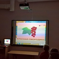 Маленькие участники встречи с интересом смотрят слайд-презентацию лесной растительности Новосибирской области