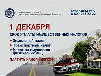 УФНС России по Новосибирской области напоминает об уплате имущественных налогов